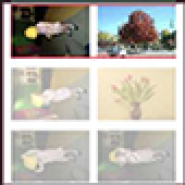 Image Sorter